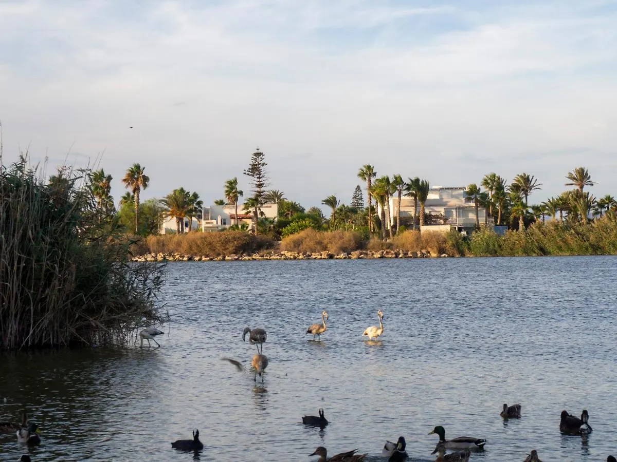 Jardin Privado # Netflix # Playa A 8Min # Wifi # Familia # Apartamento Vera